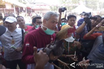 Perlu Inovasi Olah Hasil Peternakan Unggul 