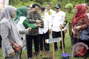 Pemkot Solok Kembangkan Kawasan Agrowisata Durian