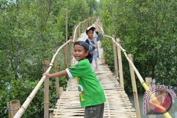 Wisata Hutan Mangrove Lampung Timur Serap Banyak Tenaga Kerja