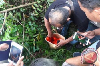 Geger! Penemuan Orok Bayi Diatas Ranting Pohon, Ternyata!