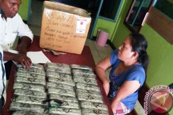 Polisi Merauke tahan pemilik 4.886 butir pil PCC