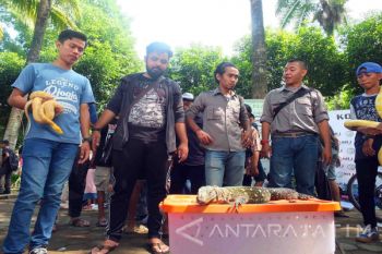 Komunitas Penyayang Binatang Jember Ajak Masyarakat Sayangi Hewan (Video)