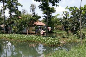 Banjir di Sejumlah Wilayah Cilacap Surut