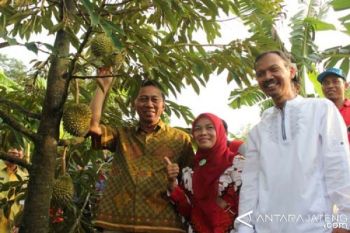 Pemkab Perbaiki Jalan ke Kebun Agrowisata Durian 