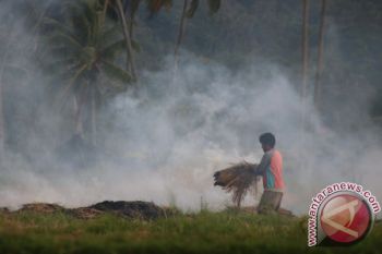 Jangan bakar sisa panen