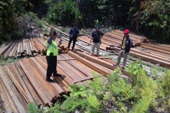 Polisi Barito Utara Amankan Kayu Olahan Ilegal