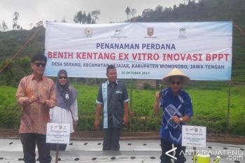 BPPT Tanam Benih Kentang Exvitro di Dieng 