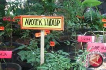 Taman obat keluarga kurangi kunjungan ke Puskesmas
