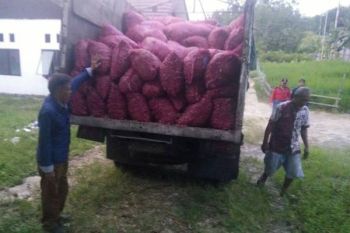 Ini Para Poktan Barut yang Terima Bibit Bawang Merah 30 Ton