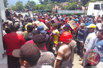 Tolak Kebijakan Walikota, Sopir Kontainer Demo Kantor DPRD Palu (Video)