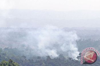 Titik Panas di Aceh Bertambah Banyak Menjadi 60 Titik