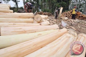 Permintaan Berkurang, Industri Pengolah Kayu di Temanggung Lesu