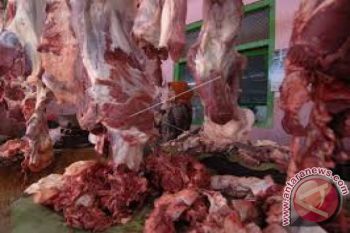 Turun, harga daging sapi di Kendari