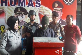 Curi Kotak Sarang Lebah, Seorang Pria Ditangkap