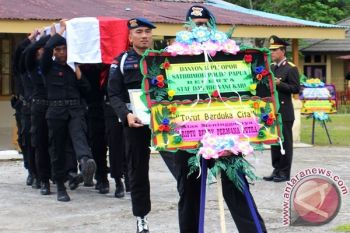 Kapolda Papua: Tidak ada Korban Aksi Teror Penembakan yang Dilakukan KKB 