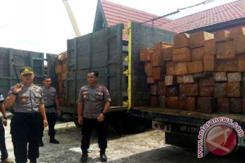Polres Barut Amankan 50 Meter Kubik Kayu Olahan Ilegal