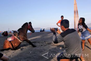 Wisata Kuda Di Pantai Cacalan