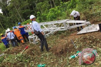 PLN datangkan transmisi darurat untuk sistem Jayapura 