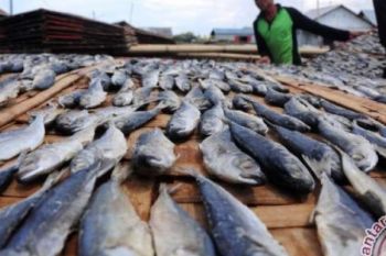 Disperindag Pekanbaru Bentuk Tim Dalami Laporan Ikan Berformalin