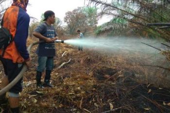 Tim FERT RAPP Bantu Pemadaman Lahan di Pulau Muda