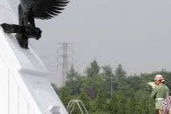  Menanti Sang Patriot di Balik Gelar Pahlawan