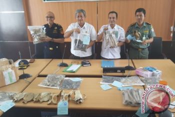 BKSDA Ungkap Perdagangan Organ Beruang Madu 