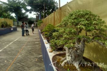 "Art. Culture And Tourism Festival" Gelar Pameran (Video)