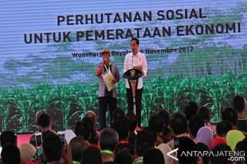Presiden Berikan SK Hutan Sosial 1.685 KK