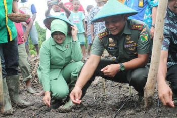 Dandim Jayapura ikut tanam perdana padi di Nimboran