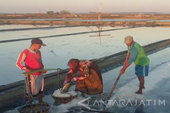 Petani Garam Sumenep Tolak Impor Garam Industri
