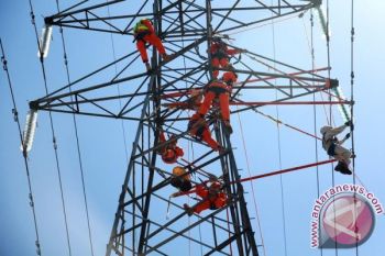 PLN ajak investor tanamkan modalnya di Pulau Flores