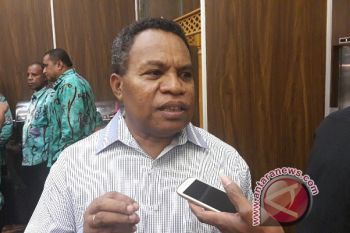 WWF: potensi energi terbarukan Papua belum digali