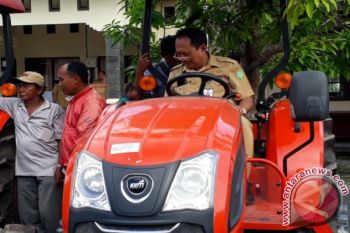 Luas Tanaman Padi Gogo Kotawaringin Timur Berkurang