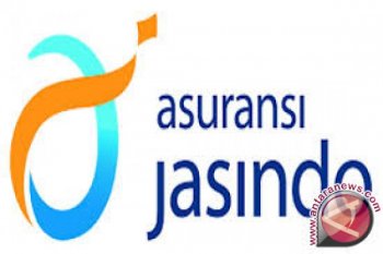 Jasindo-Gempita Mengasuransikan Jagung Petani