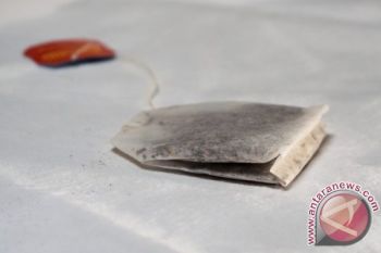 10 cara memanfaatkan teh celup bekas