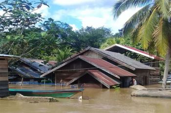 659 Bangunan Terendam Banjir di Desa Sungai Lahei