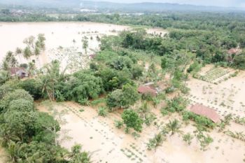 Basarnas Cilacap Evakuasi Korban Banjir Desa Madura
