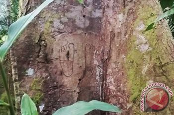 Mengenang Mereka yang Meninggal Lewat Kirekat 