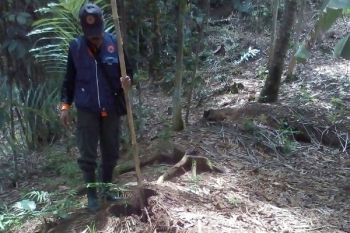 22 Rumah di Cilacap Terancam Longsor