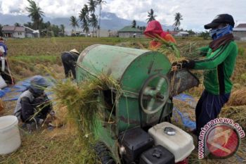Pemprov Sulteng minta petani tingkatkan produksi pangan