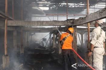 Peternakan Ayam di Kudus Terbakar, Kerugian Ditaksir Miliaran Rupiah