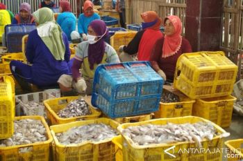 Perbaikan TPI Sarang Rembang Diusulkan ke Pusat 