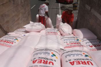 Pupuk Indonesia menghadapi gempuran pupuk dari Tiongkok