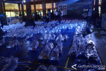 600 Ikan Koi Ikut Kontes Adu Cantik di Temanggung 