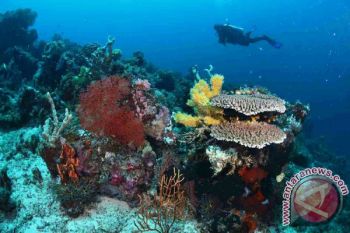 Tiga Destinasi Wisata Raih Medali API