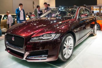 Demi Dapatkan Asuransi Jaguar, Pria ini Tewas Tenggelam