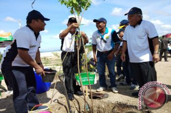 Pemerintah Sudah Lelang Proyek Bendungan Temef 