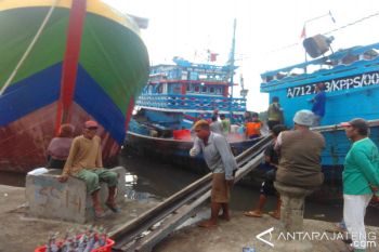 Produksi Ikan TPI Pekalongan Capai 100 Ton