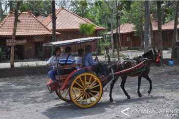 TWC Ajak Warga Borobudur Berbisnis Homestay 