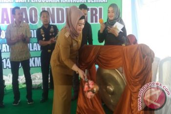Pemprov Dukung PT-KKIi Maksimalkan Pemanfaatan Kakao Sultra